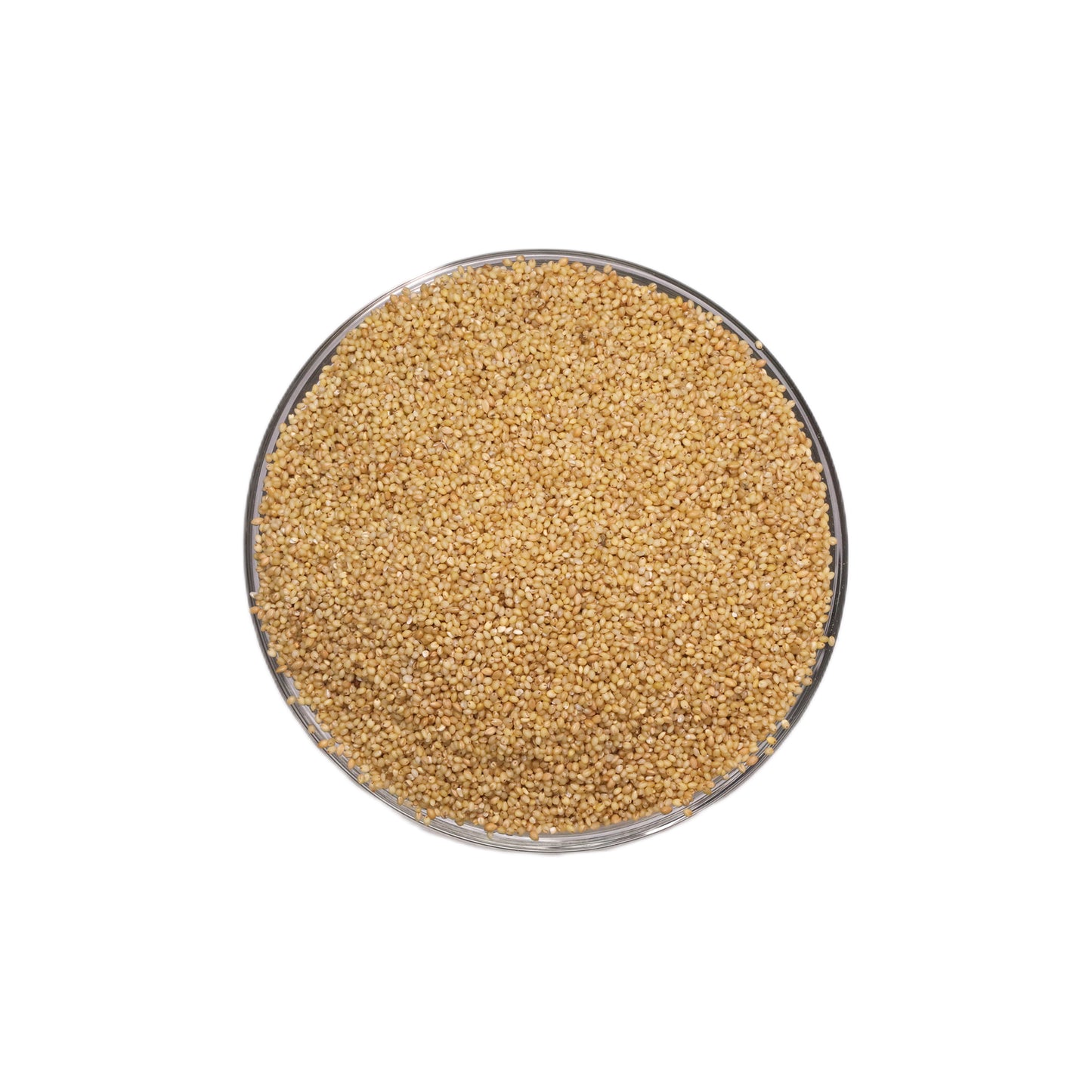 Foxtail Millet | Setaria italica | 100% Pure & Natural Foxtail Millet | Wholesale Supply