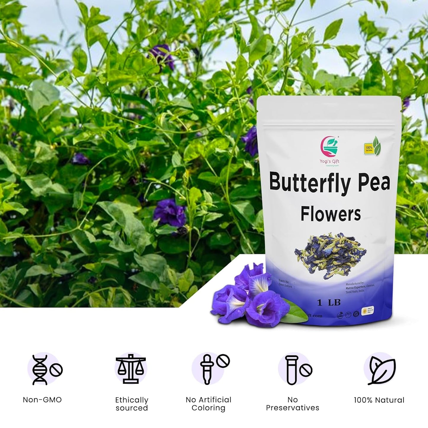 Butterfly Pea Flower Dried 1 LB | Blue Butterfly Pea Flower Tea | Makes Beautiful Blue Or Purple Food Coloring | Non-Gmo, Ethically Sourced | By Yogi's Gift®