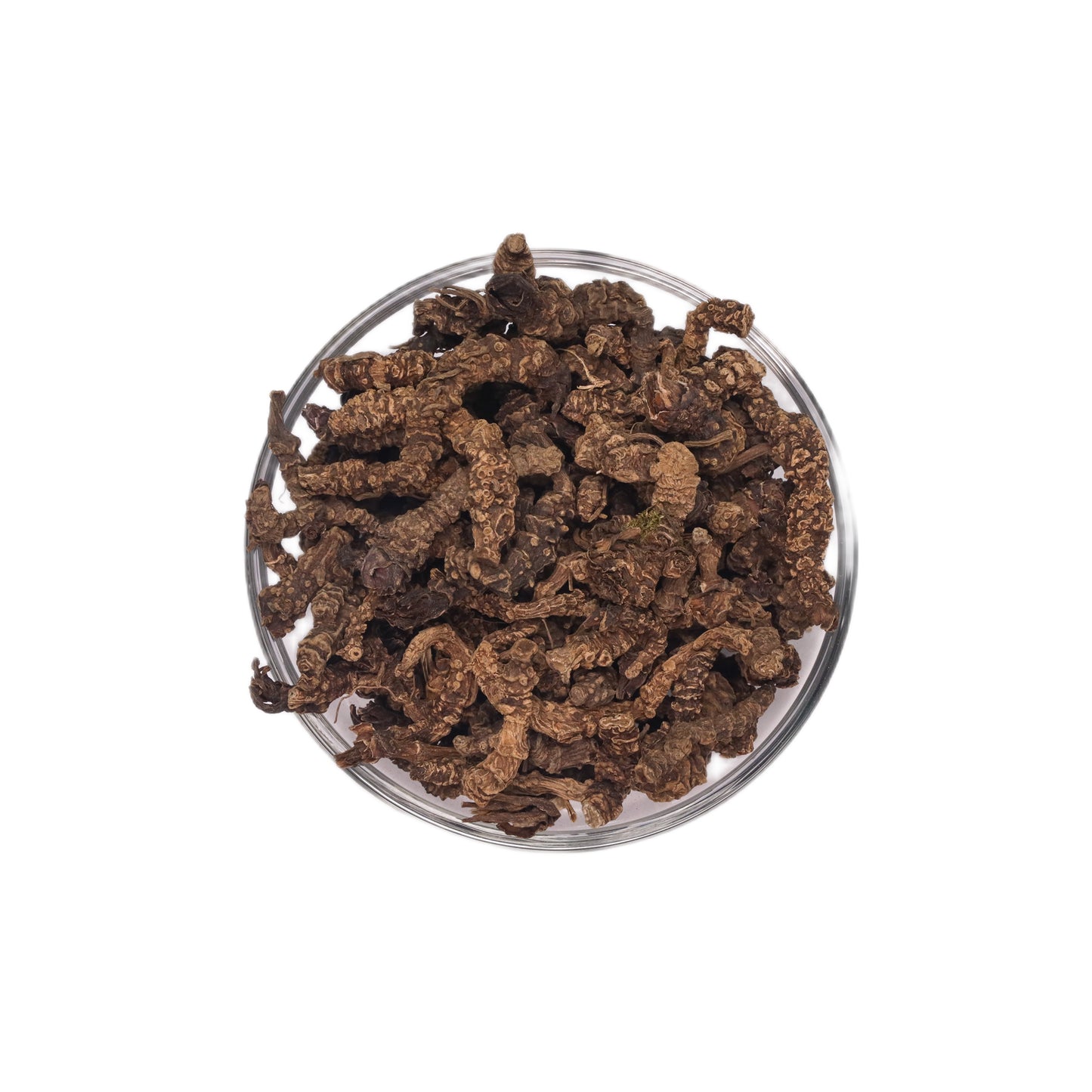 Valerian Root Whole | Valeriana officinalis | 100% Pure & Premium Valerian Root Whole | Wholesale Supply