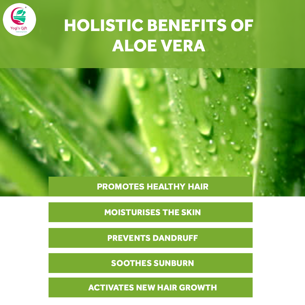 Aloe vera powder | 250 grams | Moisturizing face mask ingredient for dry skin | Hair mask ingredient for Hair growth | Made from Pure & Organically Cultivated Aloevera | by Yogi’s Gift®