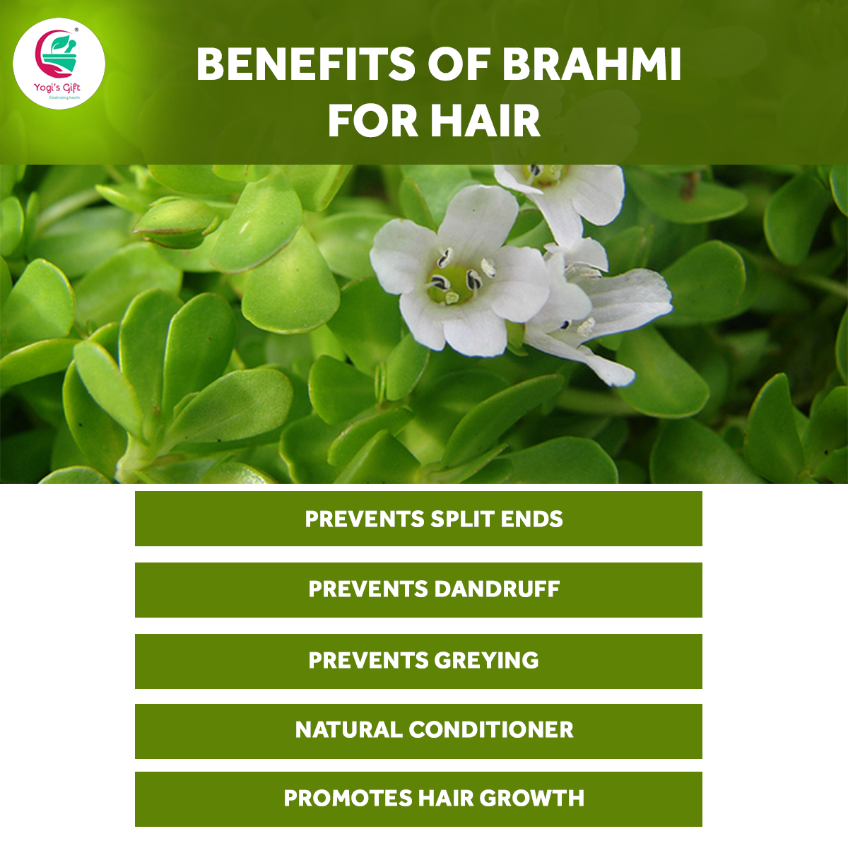 Brahmi Powder 8 Oz | Natural Hair Growth Booster & Volumizer | Helps Improve Memory | Scalp Nourishing Mask | Bacopa Monnieri powder | Yogi's Gift®