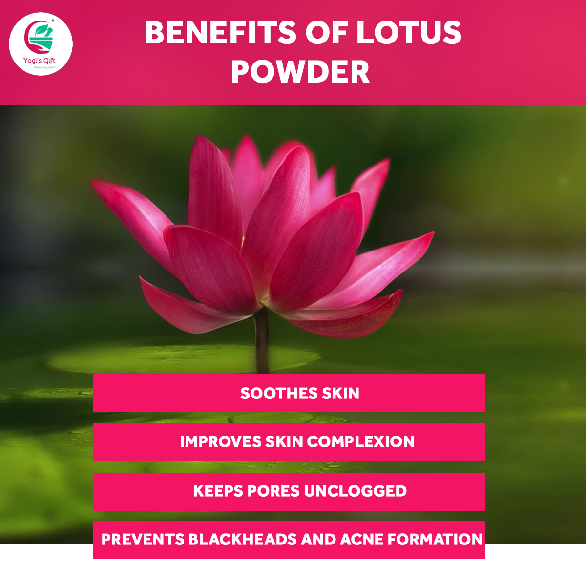 Lotus Flower Powder  8oz | Nelumbo Nucifera | 100% Pure & Natural Lotus Petals Powder for Hair & Skin | Ayurvedic Cosmetics | Yogi's Gift®