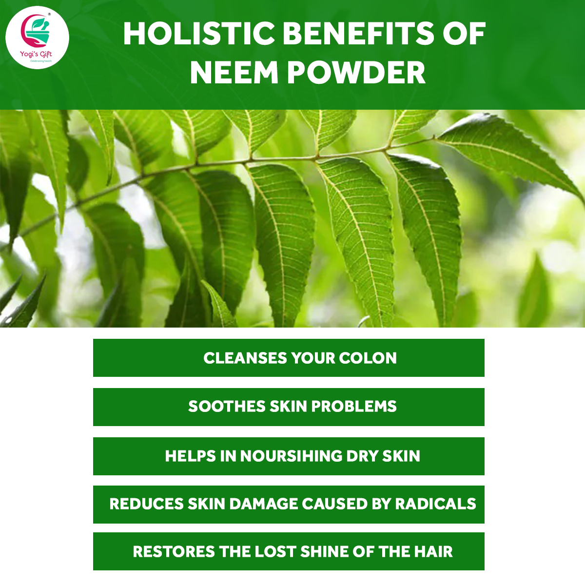 Organic NEEM Powder 250grams | Wild Crafted | Support Skin Health & Hair Growth | 100% Pure Neem Leaves Powder | Azadirachta Indica | by Yogi's Gift Ā®