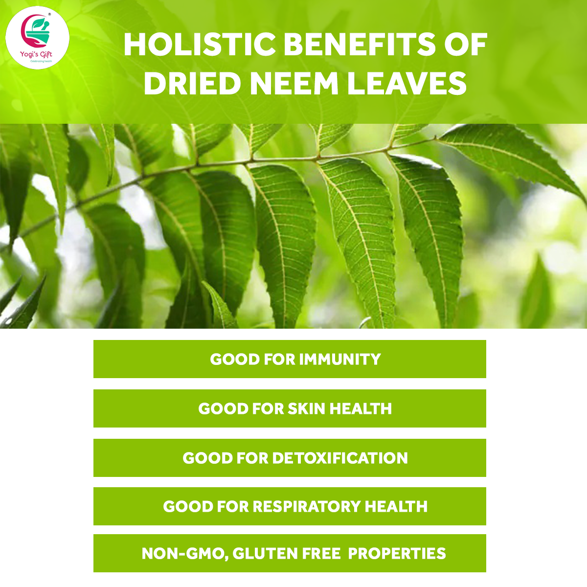 Dried Neem Leaves | 4 oz | 100% Natural Detox Tea (Approx 1800 Whole Leaves) | Azadirachta Indica Leaf | Non-GMO, Gluten Free | Yogi's Gift®