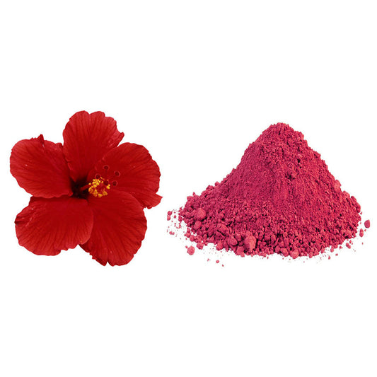 Hibiscus Powder | Bulk Supplier | Wholesale supplier in India