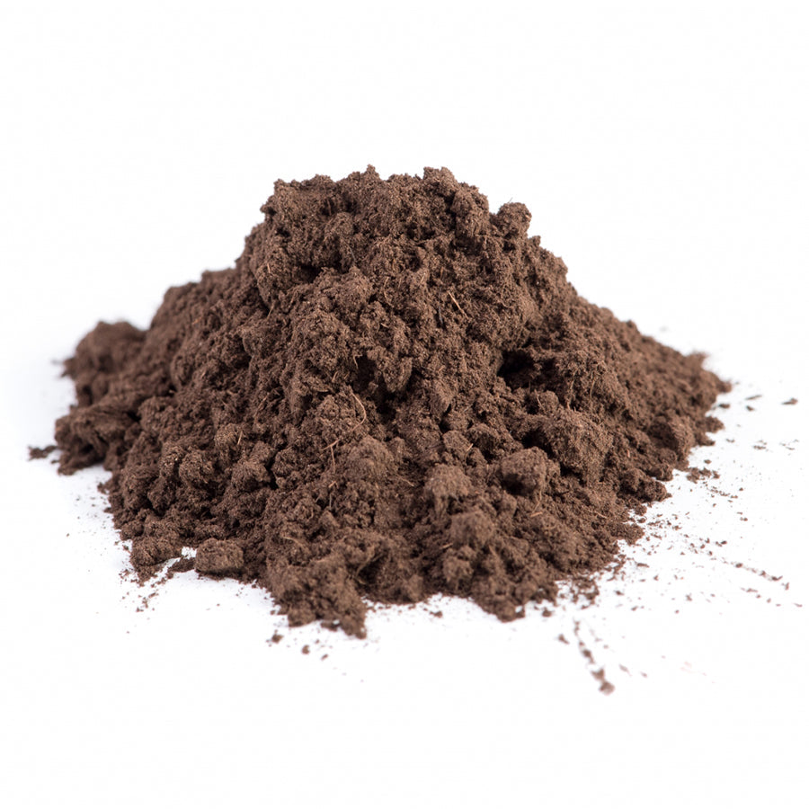 Nagarmotha powder in Bulk at Wholesale Price