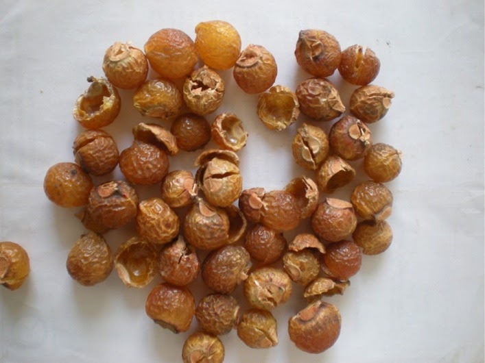       Buy Soapnuts Online | Yogi's Gift