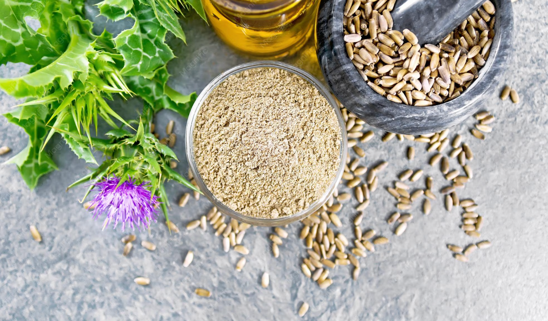 Milk Thistle Seed Benefits: What the Evidence Actually Shows
