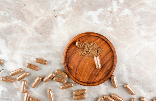 Milk Thistle Seeds vs Powder vs Capsules vs Extract: Which Should You Buy?