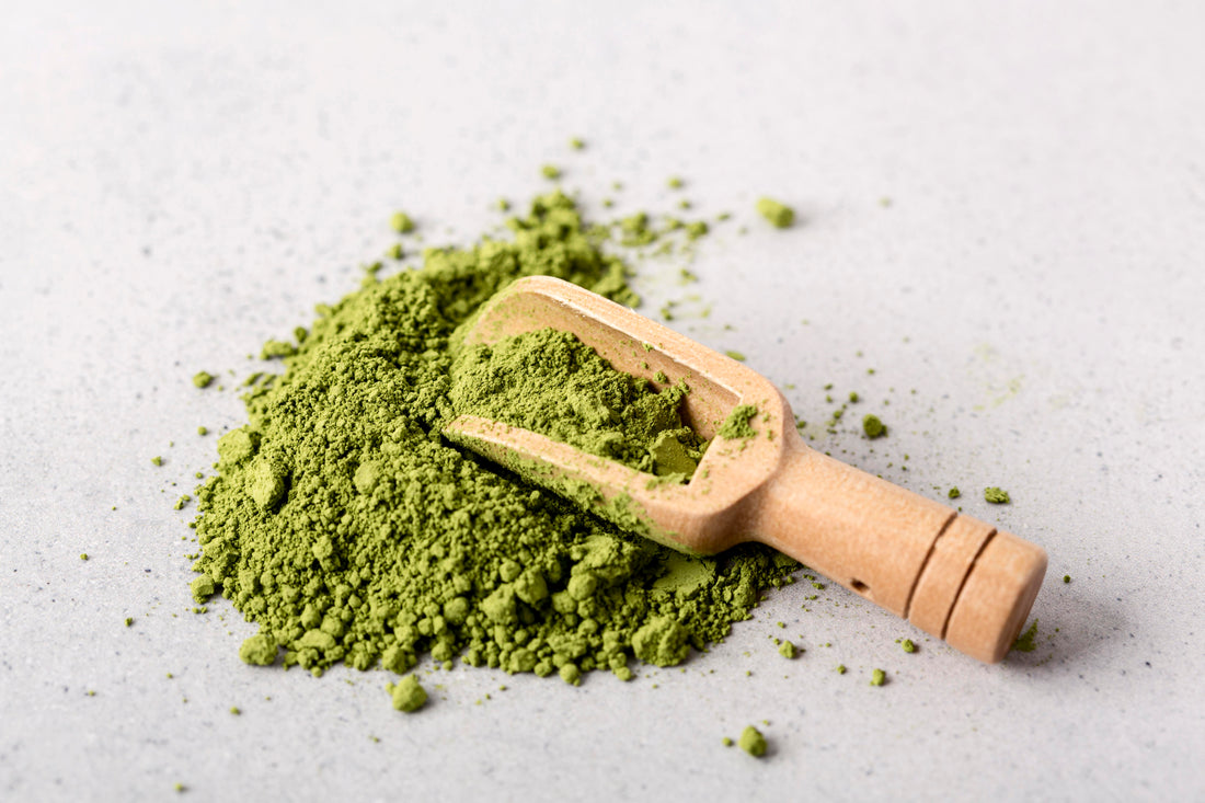 Moringa Powder Benefits: The Superfood for Health & Wellness