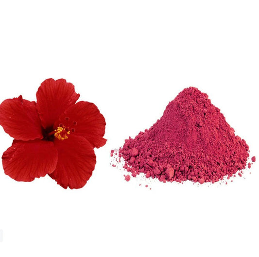 Benefits of Ordering Hibiscus Powder in bulk in 2025