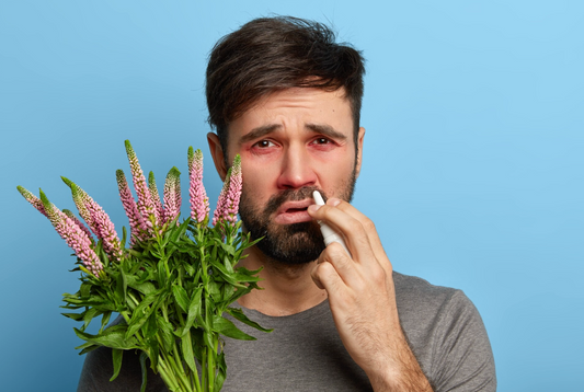 Milk Thistle Side Effects, Interactions and Who Should Avoid It