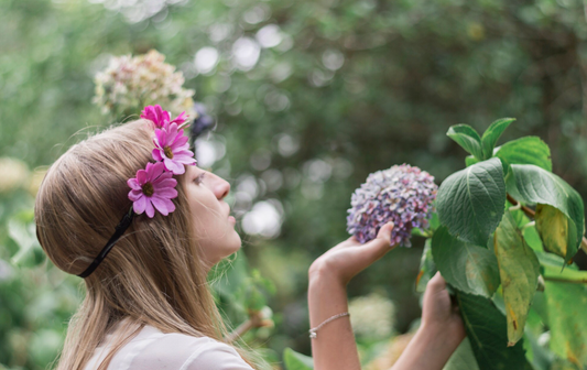How to Use Milk Thistle Seeds: 7 Ways That Actually Work