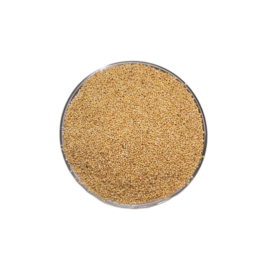 Foxtail Millet | Setaria italica | 100% Pure & Natural Foxtail Millet | Wholesale Supply