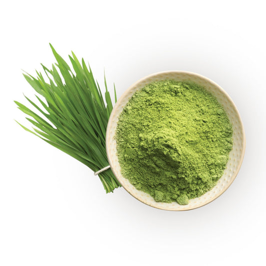 Wheatgrass Powder | Triticum aestivum | 100% Pure & Premium Wheatgrass Powder | Wholesale Supply