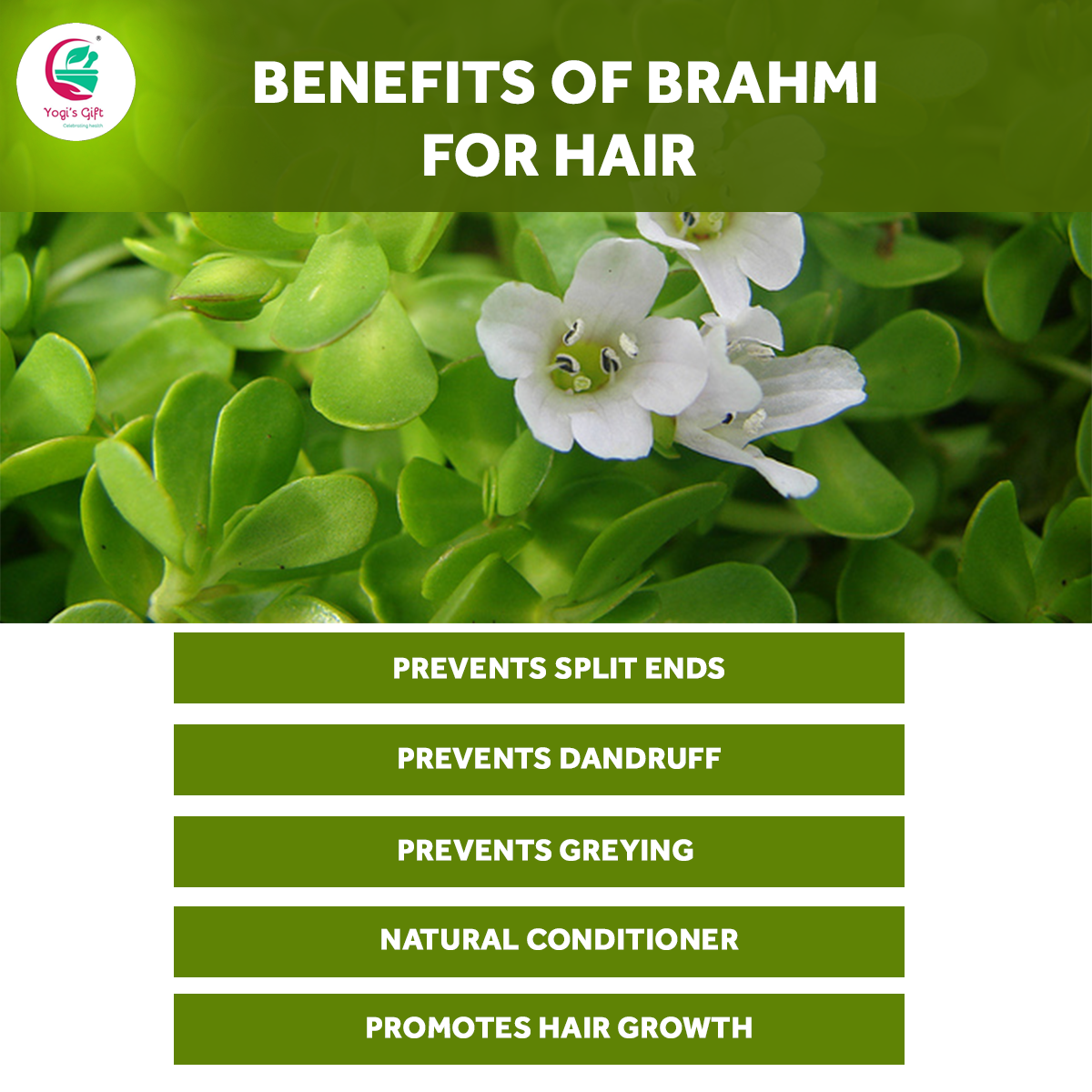 Brahmi Powder 250 grams | Natural Hair Growth Booster & Volumizer | Helps Improve Memory | Make Scalp Nourishing Mask | Bacopa Monnieri powder | by Yogi's Gift®