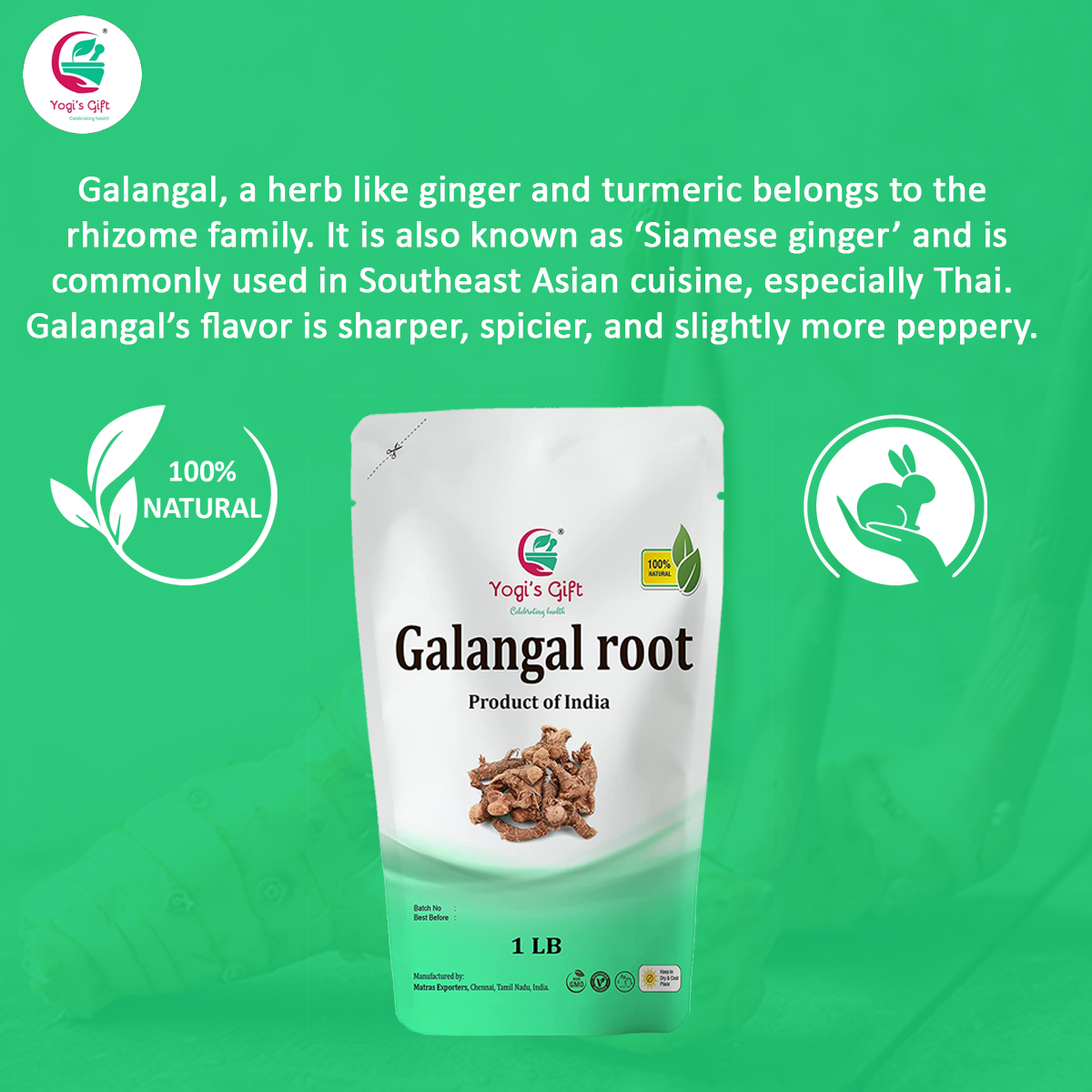 Dried Galangal Root 1LB | Whole Root | Alpinia Galangal | Ads Wonderful Flavour And Aroma To Soups |  Yogi's Gift®