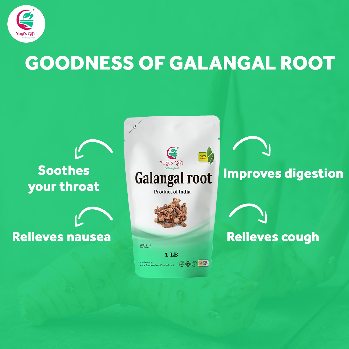 Dried Galangal Root 1LB | Whole Root | Alpinia Galangal | Ads Wonderful Flavour And Aroma To Soups |  Yogi's Gift®