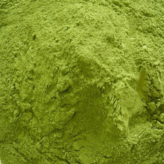 Moringa powder bulk | Moringa powder wholesale | Moringa supplier