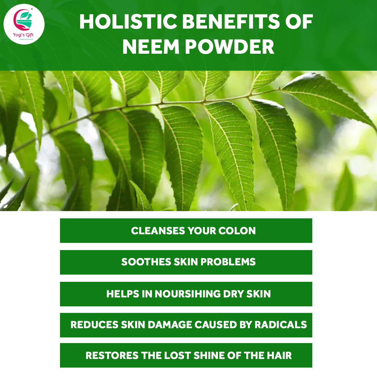 Neem Powder 8 oz | Wild Crafted | Detoxifier | Support Skin Health & Hair Growth | 100% Pure Neem Leaf Powder | Azadirachta Indica | Yogi's Gift®