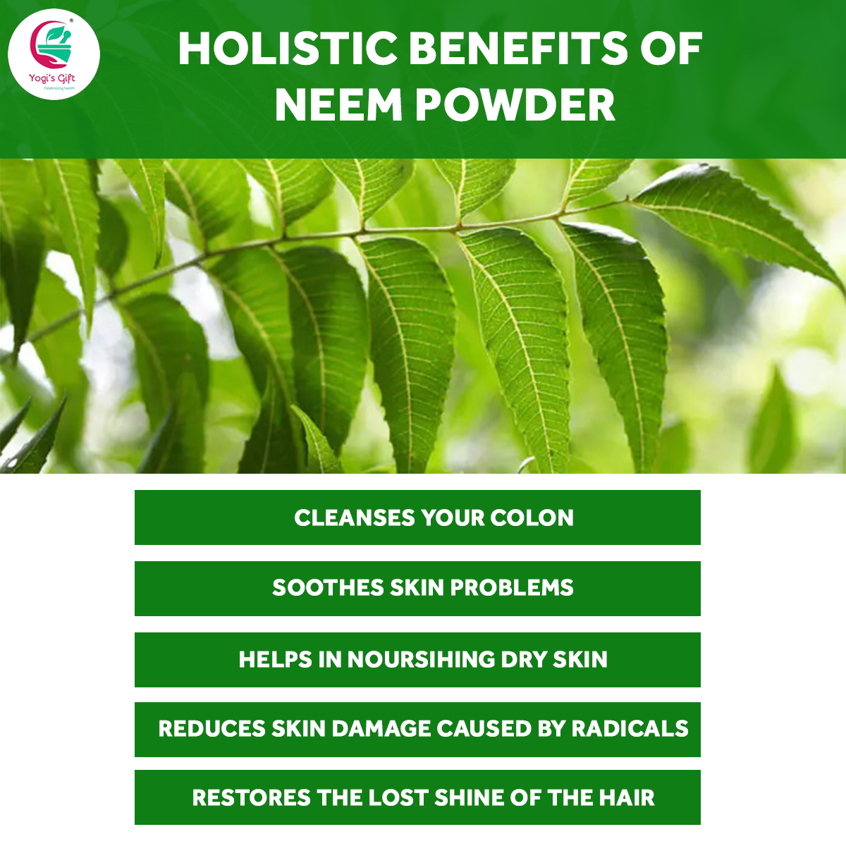 Organic NEEM Powder 250grams | Wild Crafted | Support Skin Health & Hair Growth | 100% Pure Neem Leaves Powder | Azadirachta Indica | by Yogi's Gift ®