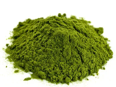 Neem powder in Bulk at Wholesale Price
