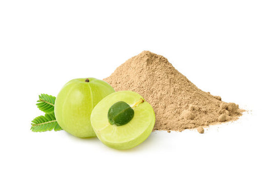 Amla powder | Phyllanthus emblica | Seedless amla berry powder | Wholesale supply