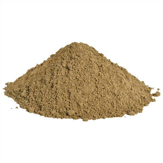 Brahmi powder | Bacopa Monnieri | Wholesale supply