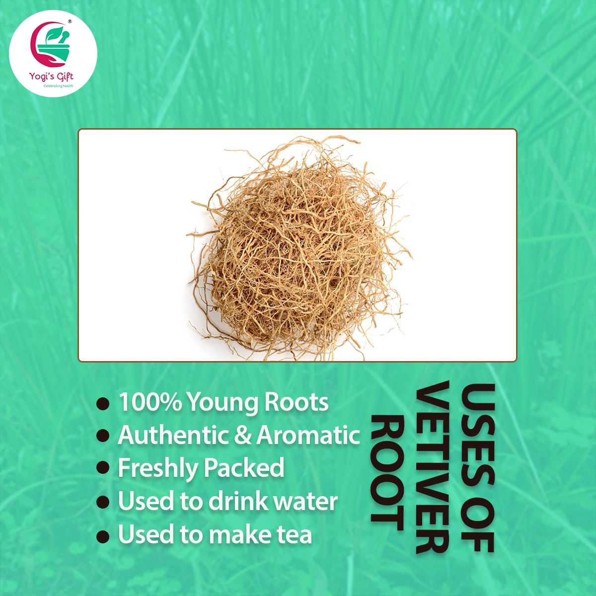 Vetiver Root 4 oz | Great Aromatic Roots | 100% Pure and Natural Mesmerizing Fragrance | Product of India | Non-GMO, Vegan | Yogi's Gift